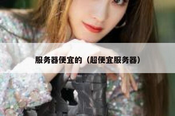 服务器便宜的（超便宜服务器）