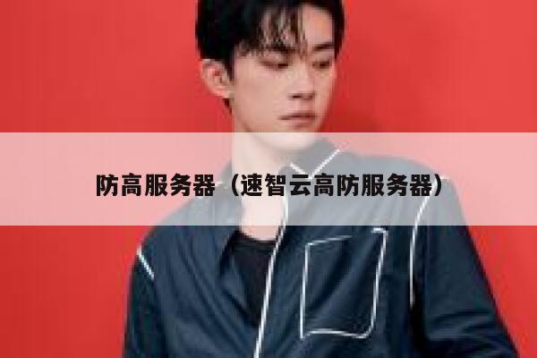 防高服务器（速智云高防服务器）