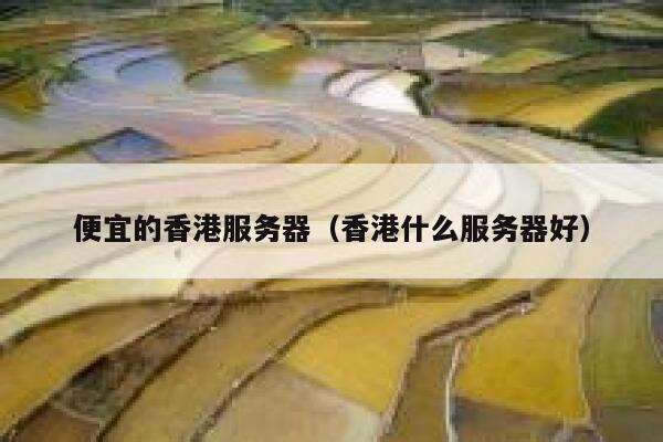 便宜的香港服务器（香港什么服务器好）