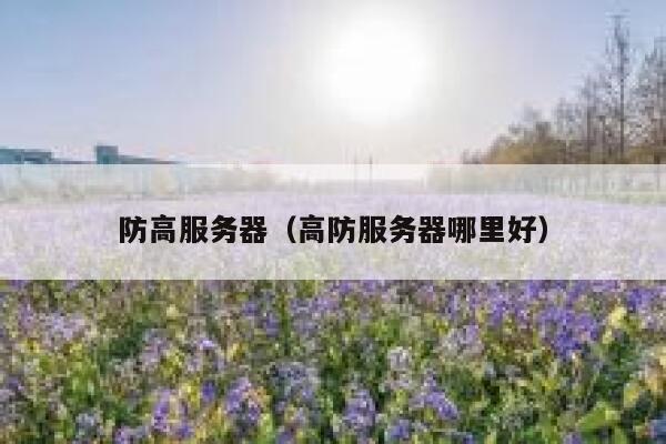 防高服务器（高防服务器哪里好）