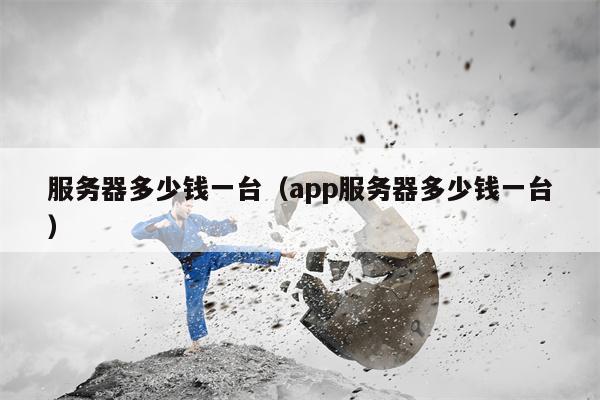 服务器多少钱一台（app服务器多少钱一台）