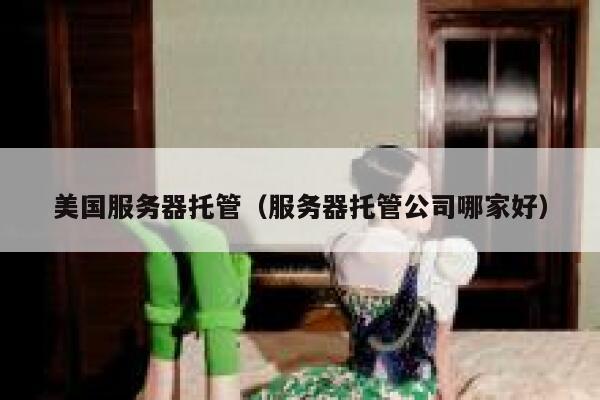 美国服务器托管（服务器托管公司哪家好）